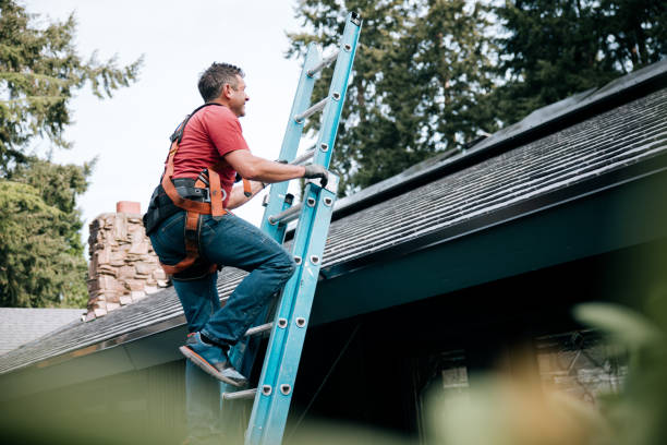 Best Gutter Installation and Repair  in Franklin Park, FL